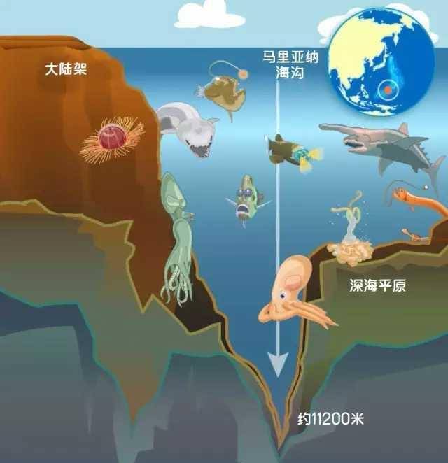 技术咨询 第915页