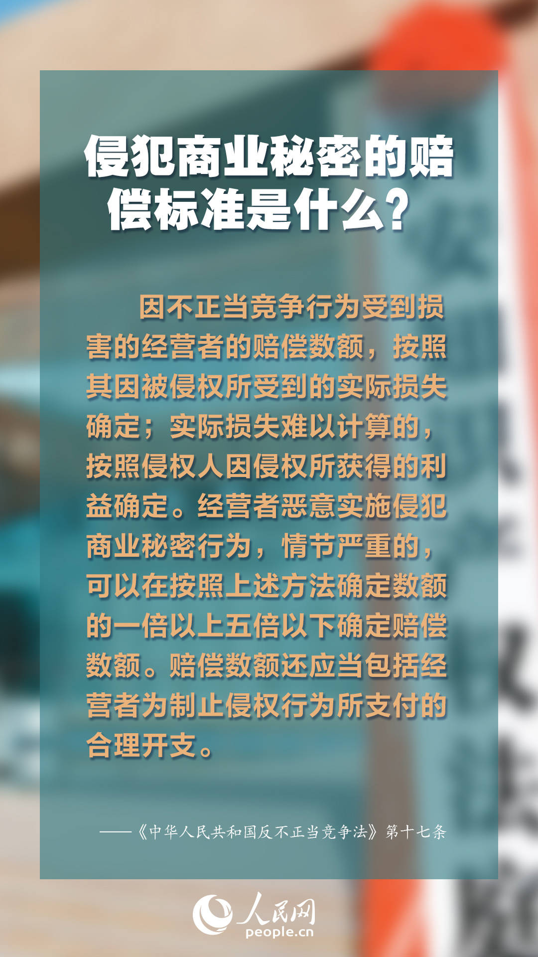 2024年资料免费大全,迈向未来的知识宝库——2024年资料免费大全