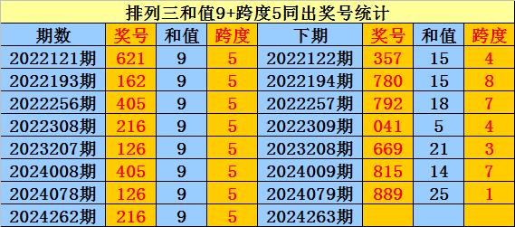 澳门一码一肖100准王中王,澳门一码一肖与犯罪问题的探讨