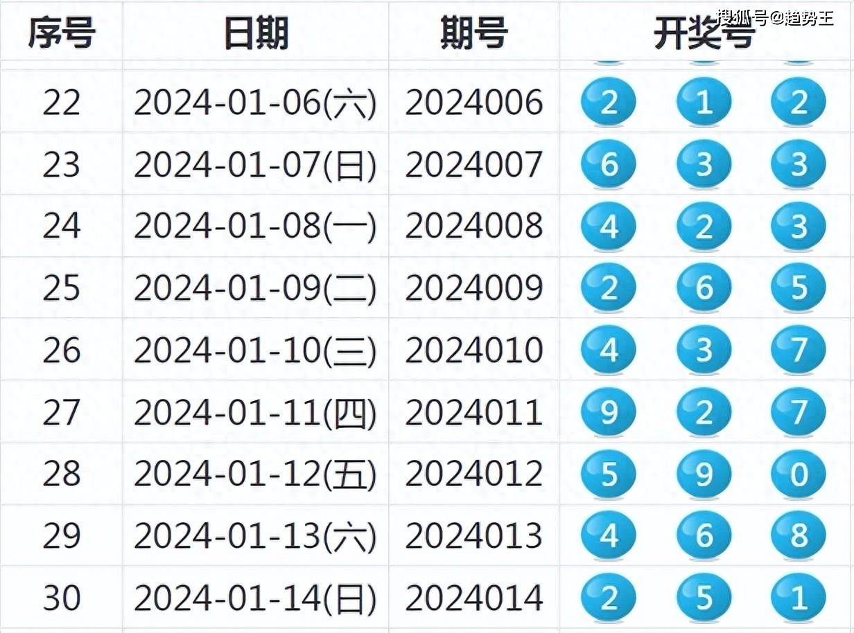 2024新奥彩开奖结果记录,揭秘2024新奥彩开奖结果记录，历史与未来的交汇点