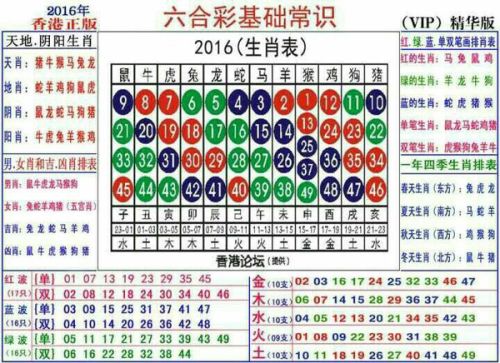 2024十二生肖49码表,揭秘2024十二生肖与数字彩票的奇妙结合——十二生肖49码表详解