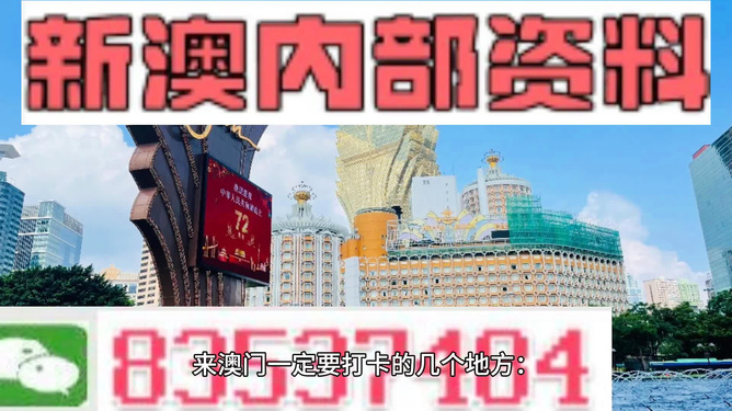 2024新澳门精准正版免费资料510期,探索新澳门正版资料，2024年第510期的奥秘与价值