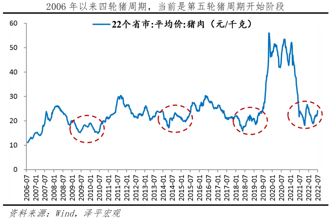 2025年1月28日 第31页