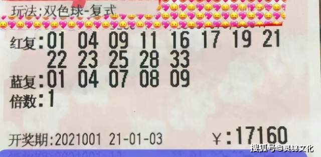 2004年澳门天天开好彩大全,澳门彩迷宝典，回顾2004年澳门天天开好彩大全