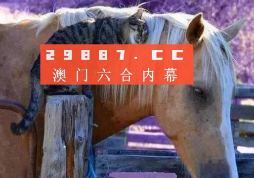 澳门精准资料免费正版大全067期 09-37-44-12-07-46T：13,澳门精准资料免费正版大全详解，探索第067期的奥秘与策略（附号码解析）