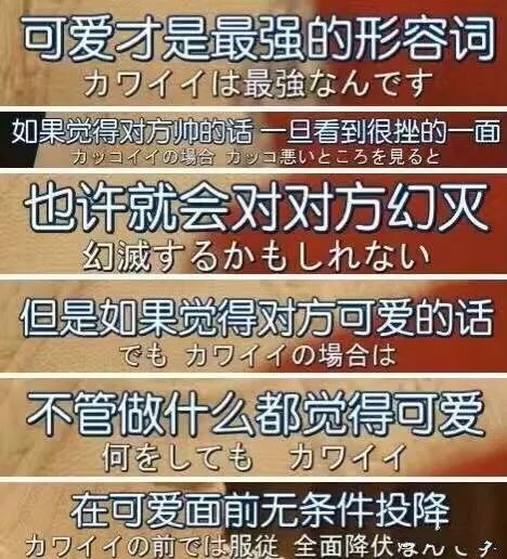 新奥门资料大全正版资料2025099期 12-17-24-39-40-46Y：01,新奥门资料大全正版资料解析，2025099期的数字秘密与探索